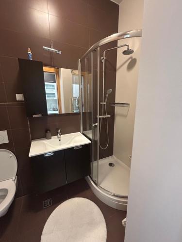 ein Badezimmer mit Dusche, Waschbecken und Toilette in der Unterkunft Sunny Escape Bjelašnica in Ivišovo Greblje