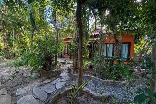 Een tuin van Casa de Cura