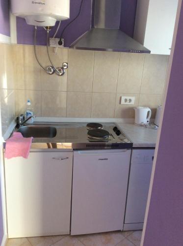 Kuchyň nebo kuchyňský kout v ubytování Apartmani Nina