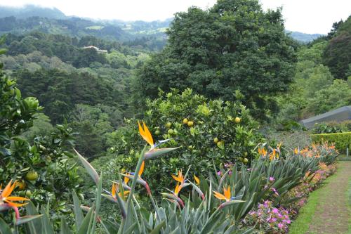 a garden with flowers and trees in the background at Finca Paraiso Mountain Retreat near San Jose Airport in Birrí