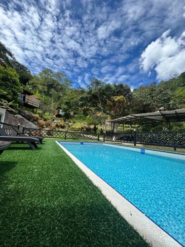 ein Pool mit grünem Gras neben einem Gebäude in der Unterkunft Glamping Mirador el Túnel in El Cerrito