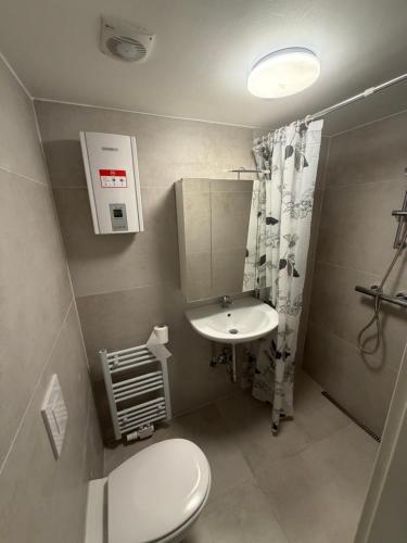 a small bathroom with a toilet and a sink at Ferienwohnung Nabo in Wadgassen