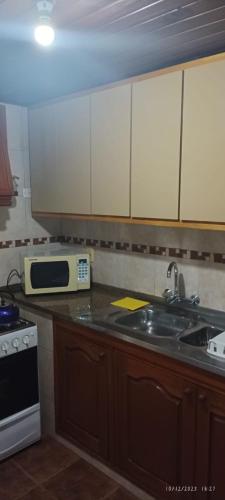 eine Küche mit Spüle und Mikrowelle in der Unterkunft La casita in Minas