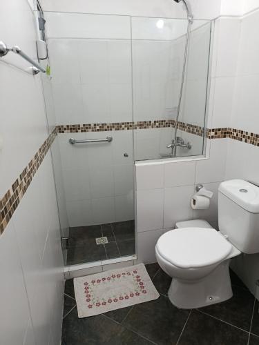 a white bathroom with a shower and a toilet at La casita in Minas
