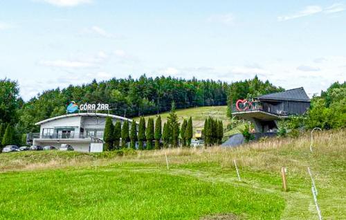 Amazing Apartment In Miedzybrodzie Zywiec