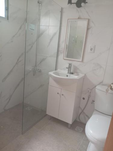 a bathroom with a shower and a sink and a toilet at Casa de verano 2 in Piriápolis