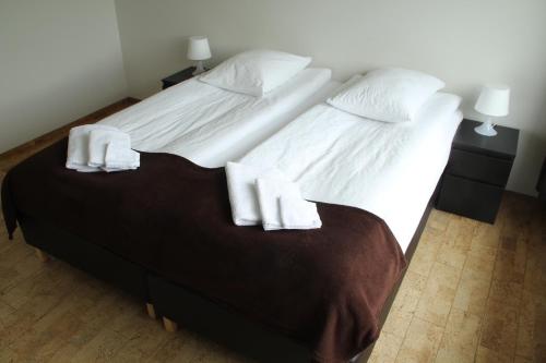Postel nebo postele na pokoji v ubytování Dettifoss Guesthouse