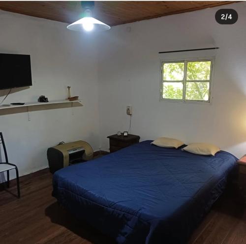 een slaapkamer met een blauw bed en een raam bij Casasdelta in Tigre