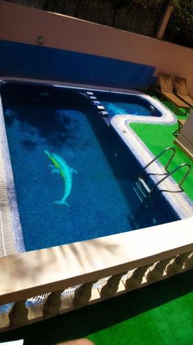 a swimming pool with a shark in the water at Welcome to Riad Glam Marrakech in Marrakesh