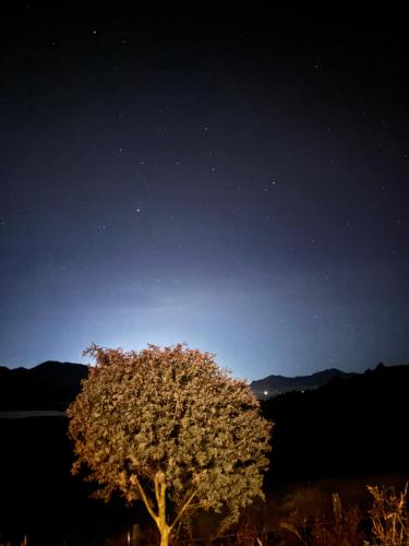 Natuurlandschap vlak bij het appartement