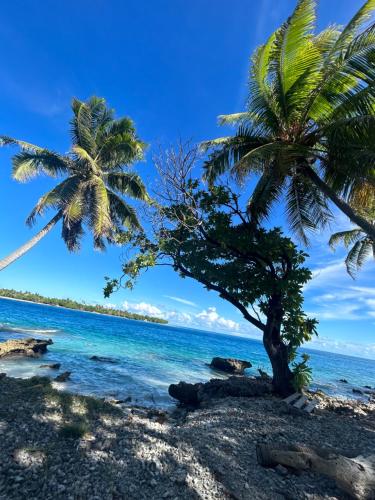 due palme su una spiaggia vicino all'oceano di M&M moanatea lodge a Rangiroa