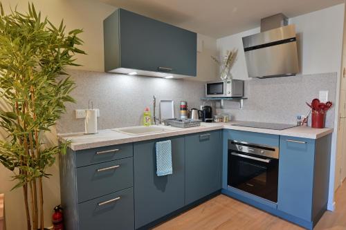 Kuchyň nebo kuchyňský kout v ubytování Appartement Georgio