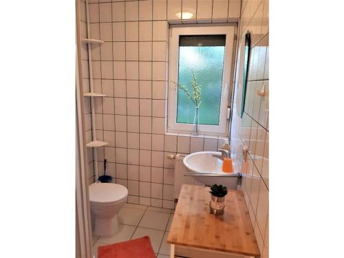 ein Badezimmer mit Waschbecken und Toilette und einem Fenster in der Unterkunft Holiday apartment in Parlow with parking in Parlow-Glambeck