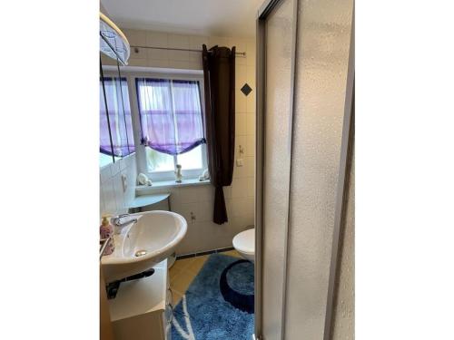 ein Badezimmer mit Waschbecken und Toilette in der Unterkunft Seidl - Holiday Apartment in Laiflitz