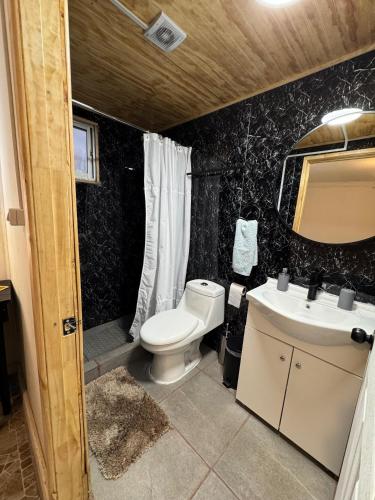 a bathroom with a toilet and a sink at Mercadito de Pamela in Huépil