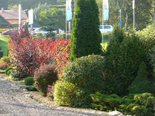 a garden with colorful bushes and trees on a street at Hotel Perła in Kraków