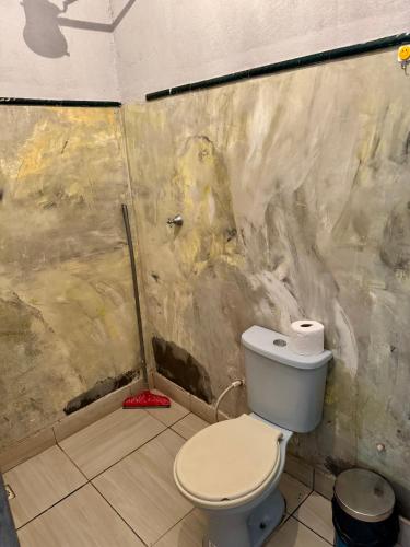 a bathroom with a toilet and a shower at Pousada e Camping São José in Manhã