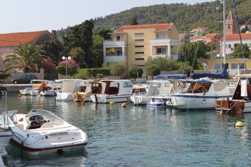 Apartments by the sea Preko, Ugljan - 8315