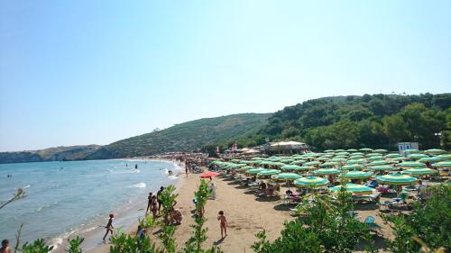 Φυσικό τοπίο κοντά σε αυτό το διαμέρισμα
