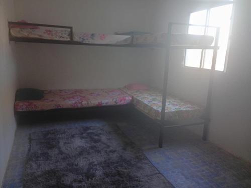Kleines Zimmer mit 2 Etagenbetten und einem Teppich in der Unterkunft Hostel Farol De Olinda in Olinda