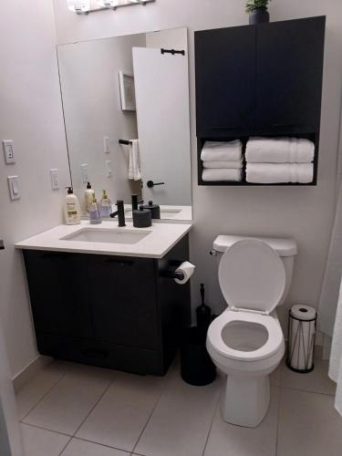 ein Badezimmer mit Toilette, Waschbecken und Spiegel in der Unterkunft Stockyards in Toronto