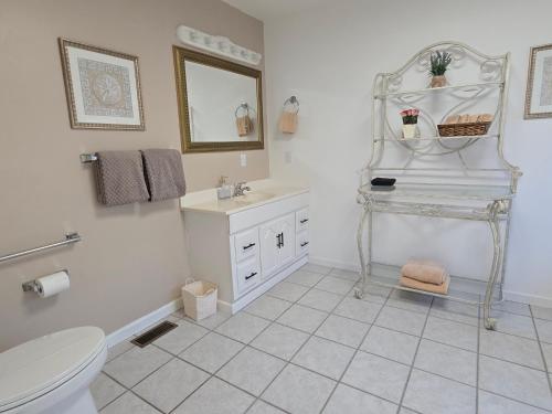 een badkamer met een toilet, een wastafel en een spiegel bij Mallard Cove - lakeside pet friendly in Robbinsville