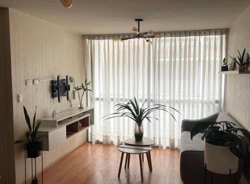 a living room with a couch and a table with plants at Acogedora habitación in Lima