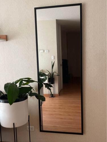 a mirror on a wall with a potted plant at Acogedora habitación in Lima