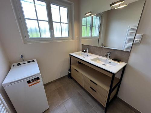 een badkamer met een wastafel en een spiegel bij Le gite grues cendrees in Arjuzanx