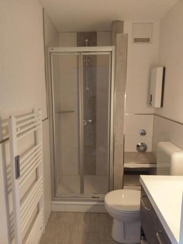 a bathroom with a shower and a toilet at Windspiel in Schönberg