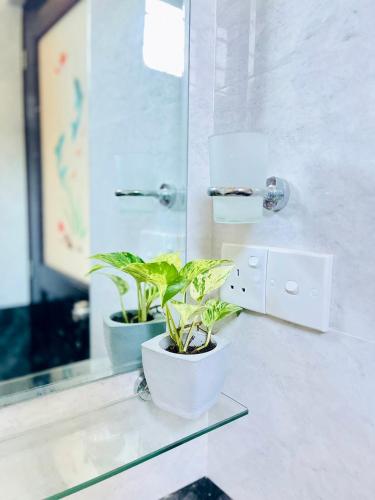 two plants sitting on a counter in a bathroom at Green Hill Villa Thalpe in Talpe