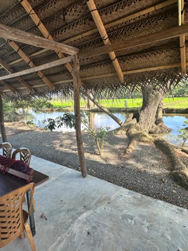 Příroda nedaleko hostelu