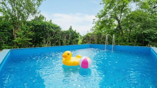 een gele rubberen eend in een zwembad bij Ganghwado Happyvilly Pension in Incheon