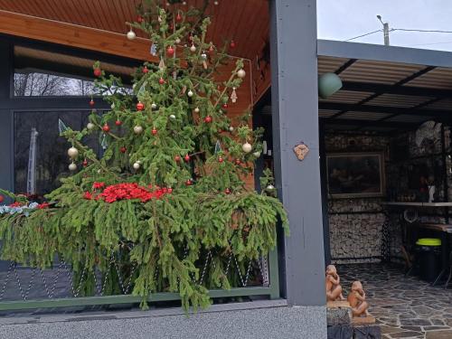 Vườn quanh PAMJA Guest House