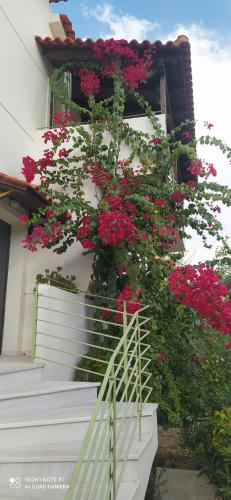 Φωτογραφία από το άλμπουμ του Aeria View σε Éva