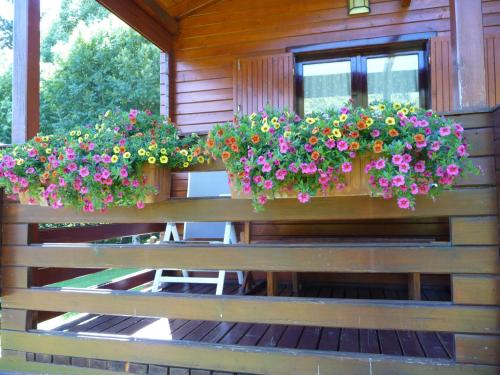 a wooden bench with flowers in a window box at Maldagorri in Ezkurra
