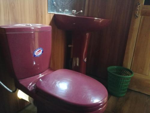 a red toilet in a bathroom with a sink at Sigiri Forest View in Sigiriya