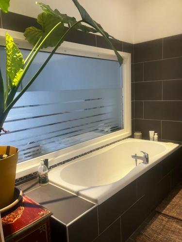 Bel appartement Sète