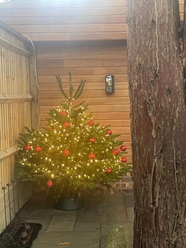 Ein Garten an der Unterkunft Tawny Lodge, Evesham Nr Cotswolds