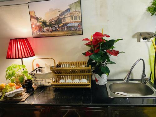 a kitchen counter with a sink and a vase with a plant at L'e'tage House in Hanoi