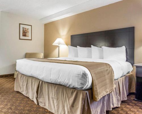a large bed in a hotel room at Quality Inn & Suites Coliseum in Greensboro