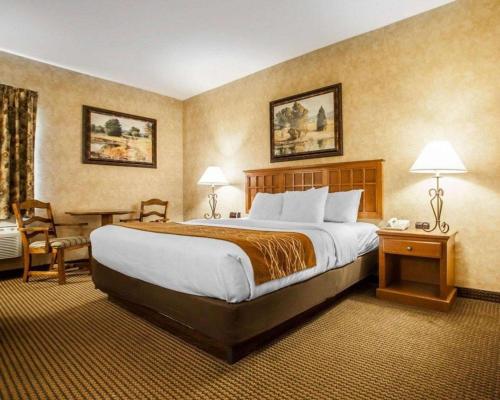 a hotel room with a large bed and a desk at Comfort Inn & Suites Macon in Macon