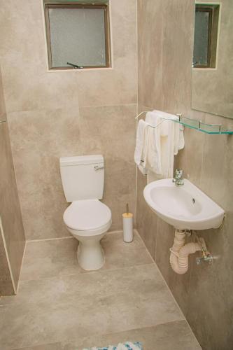 a bathroom with a toilet and a sink at Dzire Guesthouse in Thohoyandou