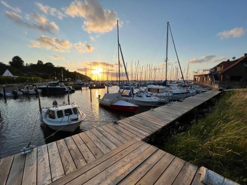 a group of boats are docked at a dock at Ferienwohnung Captains Lodge Steinbergkirche in Steinbergkirche