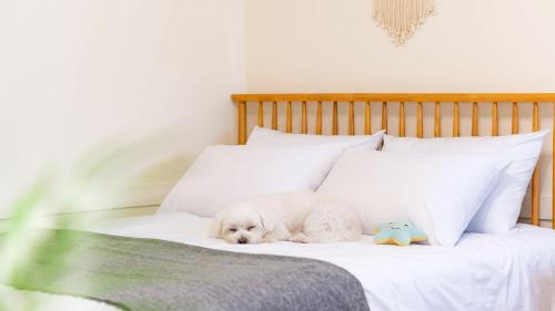 En eller flere senge i et værelse på Taean WithDog Aegyeonspa Poolvilla