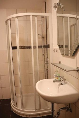 a bathroom with a shower and a sink at Ferienwohnung Bio-Bauernhof Schuwerk in Isny im Allgäu