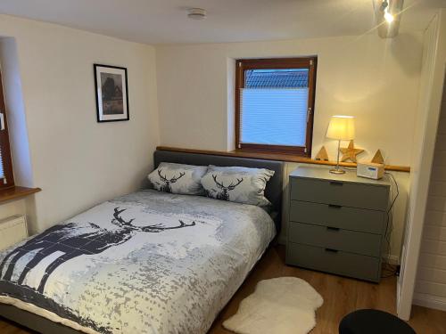 Un dormitorio con una cama y una cómoda y una ventana. en Schwarzwald-Nest Lenzkirch, en Lenzkirch