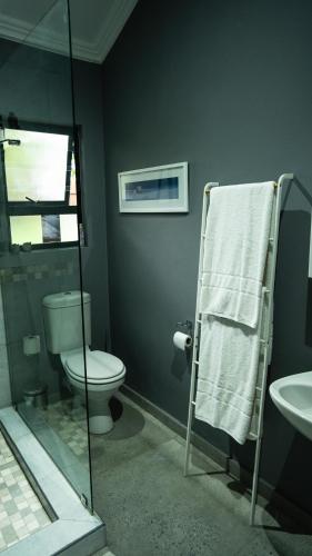 a bathroom with a toilet and a sink at Essea House in Wilderness