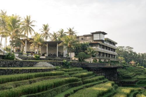 a house in the middle of a rice field at Soulshine Resort Ubud, Bali in Ubud