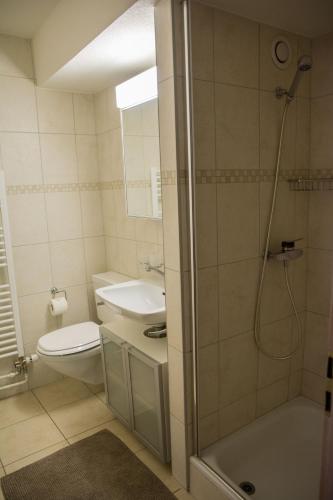 a bathroom with a shower and a toilet and a sink at Appartements dans la Résidence Panorama in Villars-sur-Ollon
